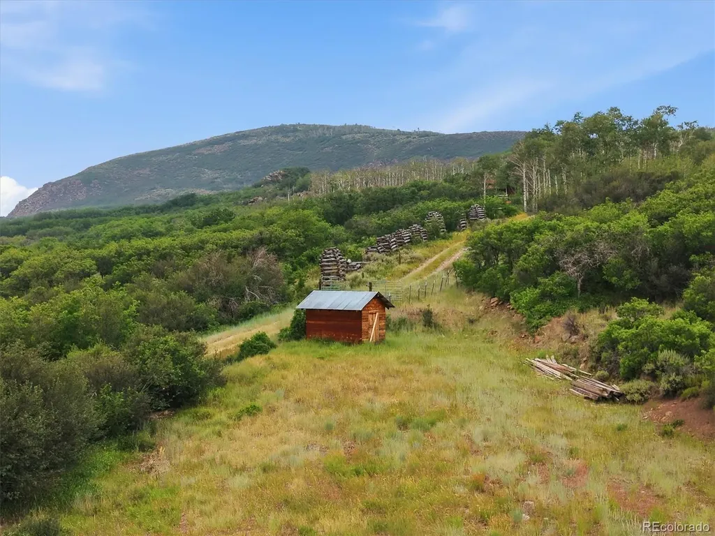531 Buck Point Drive Carbondale CO 81623