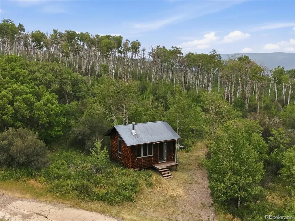 531 Buck Point Drive Carbondale CO 81623