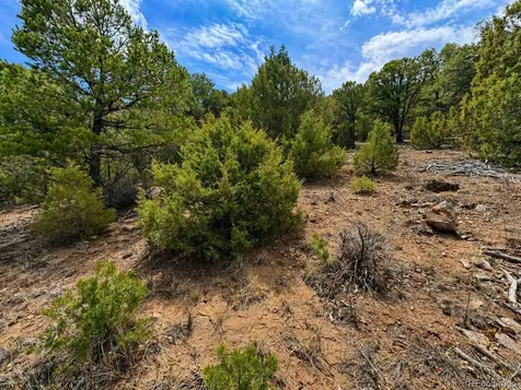 Tbd - Lot 36 Corral N Texas Creek CO 81223