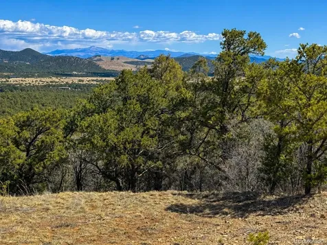 Tbd - Lot 36 Corral N Texas Creek CO 81223