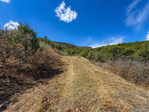 Tbd - Lot 36 Corral N Texas Creek CO 81223