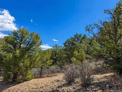 Tbd - Lot 36 Corral N Texas Creek CO 81223