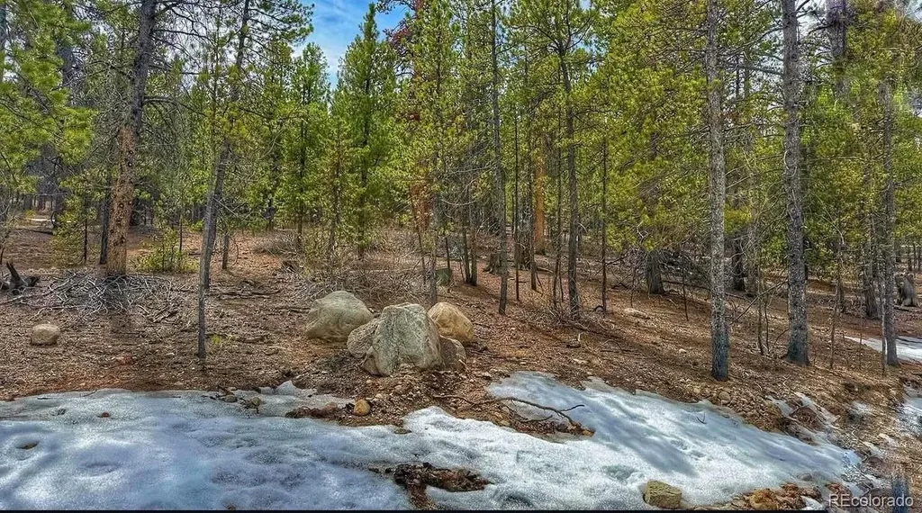 66 Mount Massive Road Twin Lakes CO 81251