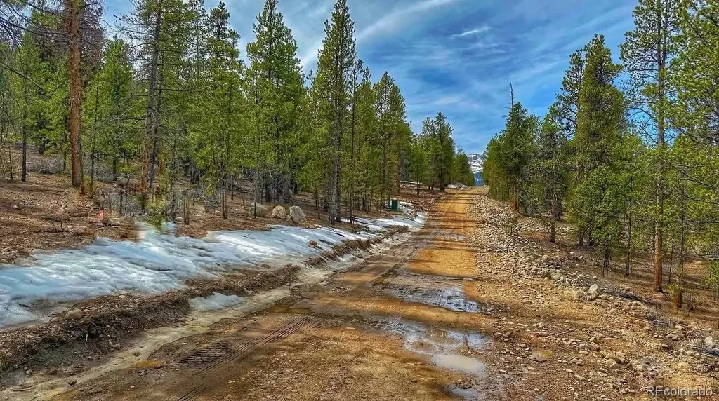 66 Mount Massive Road Twin Lakes CO 81251
