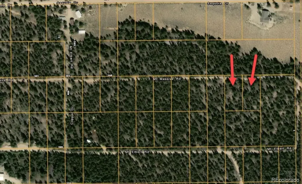 66 Mount Massive Road Twin Lakes CO 81251