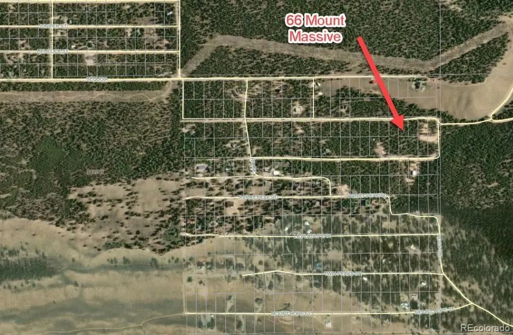 66 Mount Massive Road Twin Lakes CO 81251
