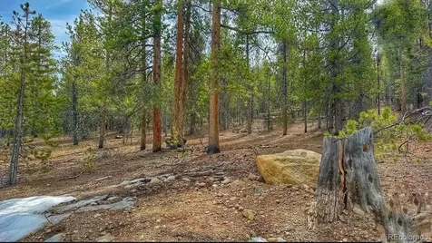 66 Mount Massive Road Twin Lakes CO 81251