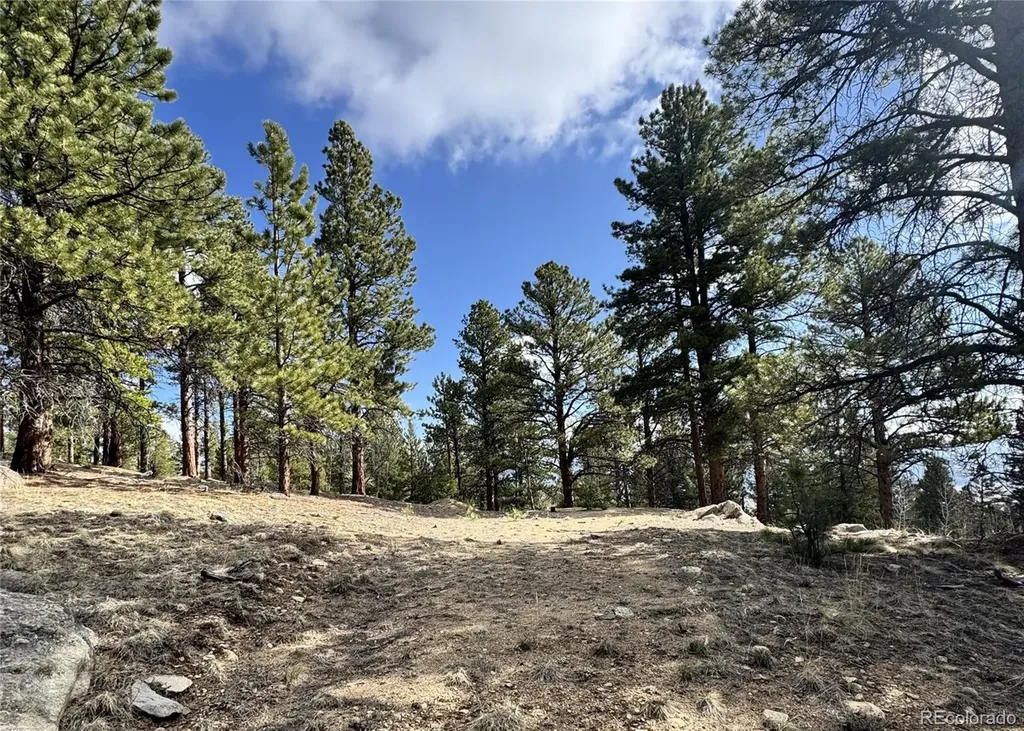 30317 Aspen Turn Buena Vista CO 81211