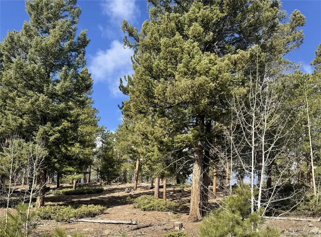 30317 Aspen Turn Buena Vista CO 81211