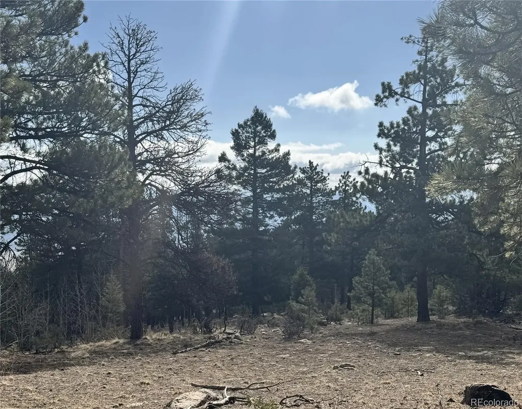 30317 Aspen Turn Buena Vista CO 81211