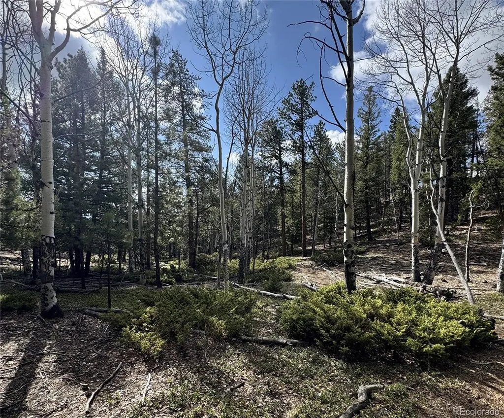 30317 Aspen Turn Buena Vista CO 81211