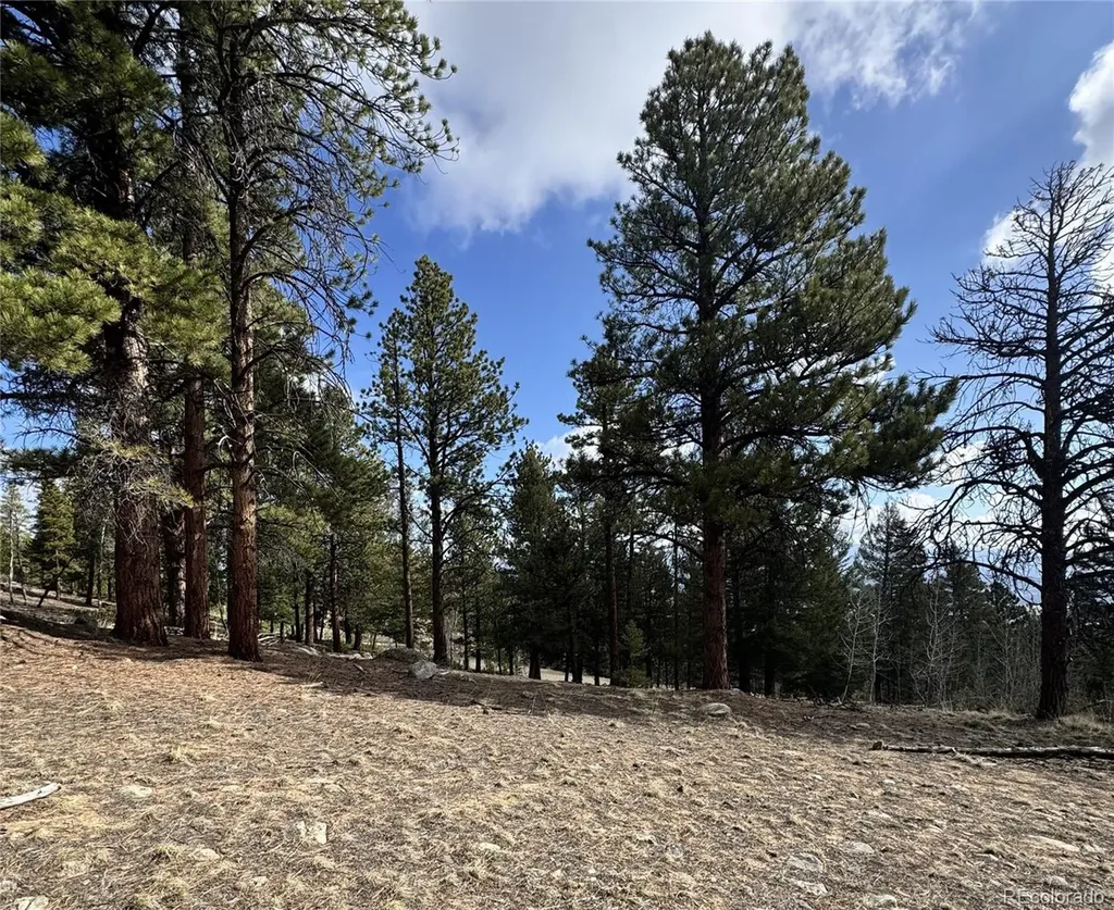 30317 Aspen Turn Buena Vista CO 81211
