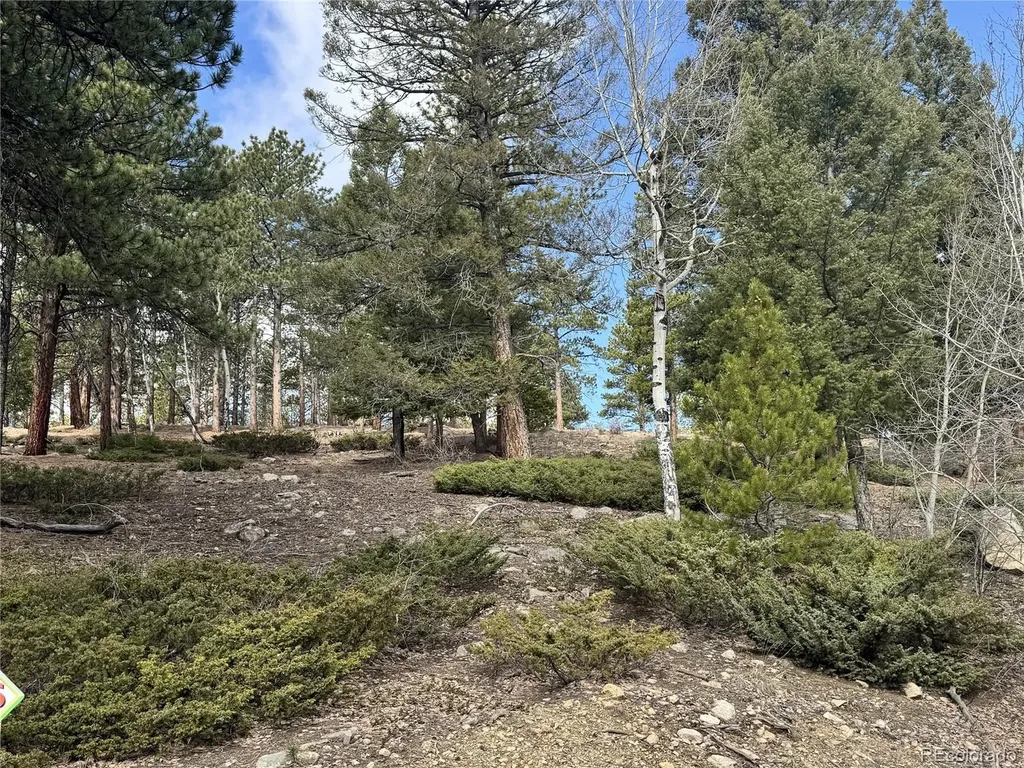 30317 Aspen Turn Buena Vista CO 81211