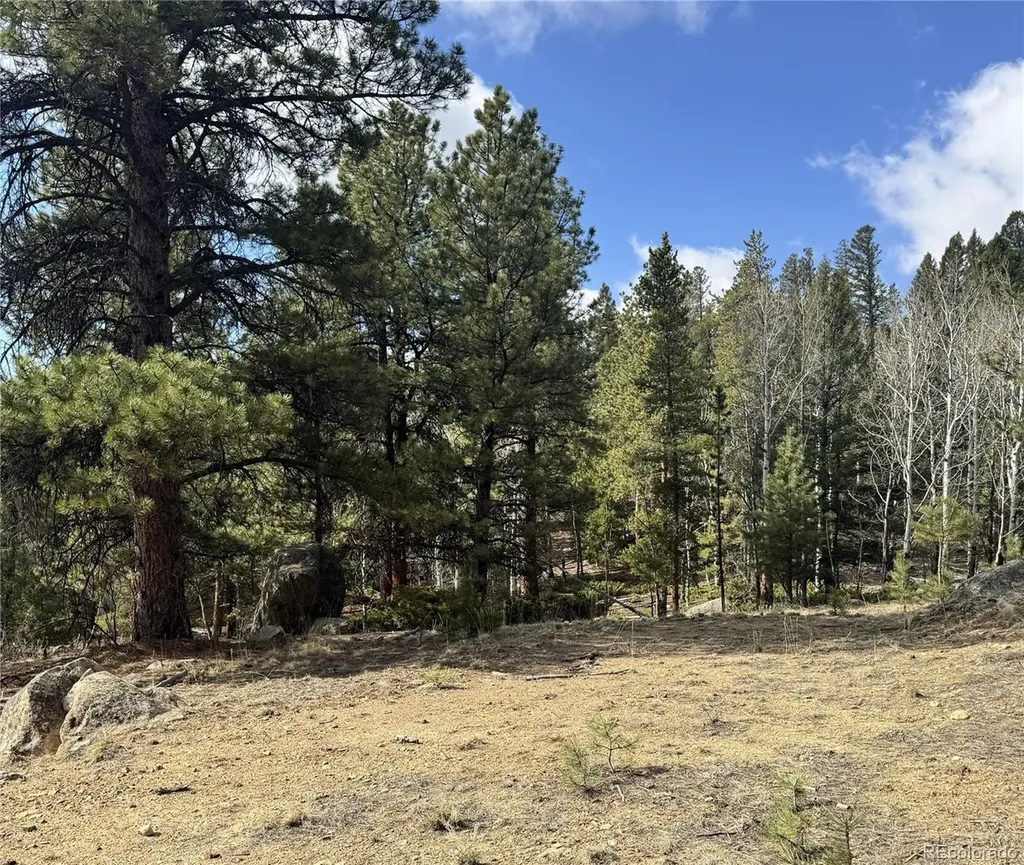 30317 Aspen Turn Buena Vista CO 81211