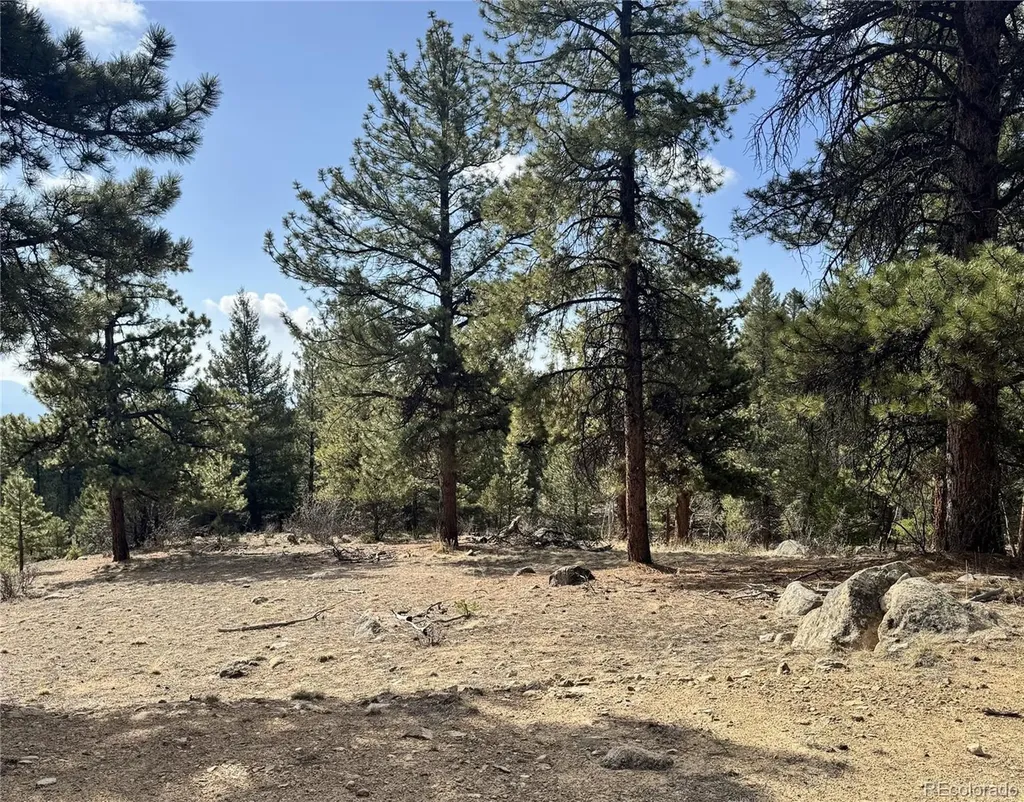 30317 Aspen Turn Buena Vista CO 81211