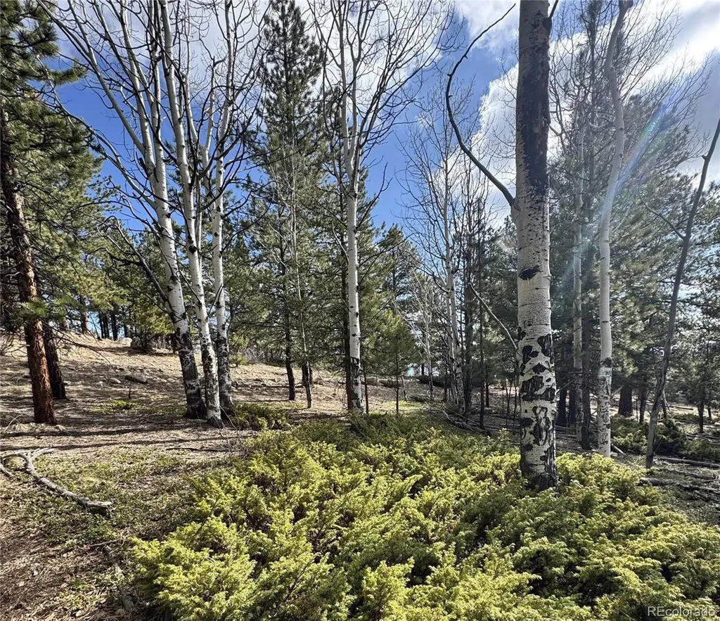 30317 Aspen Turn Buena Vista CO 81211
