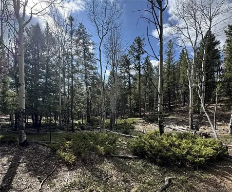 30317 Aspen Turn Buena Vista CO 81211