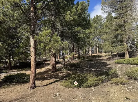 30317 Aspen Turn Buena Vista CO 81211