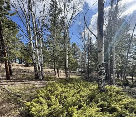 30317 Aspen Turn Buena Vista CO 81211