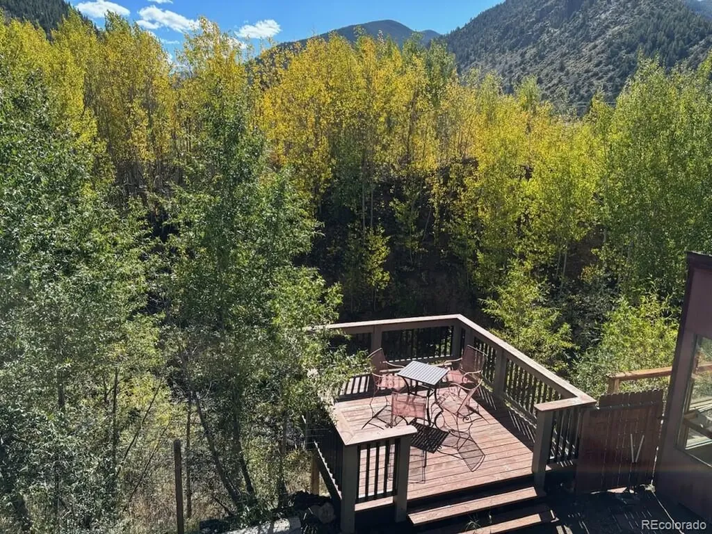 188 E Clear Creek Drive Empire CO 80438