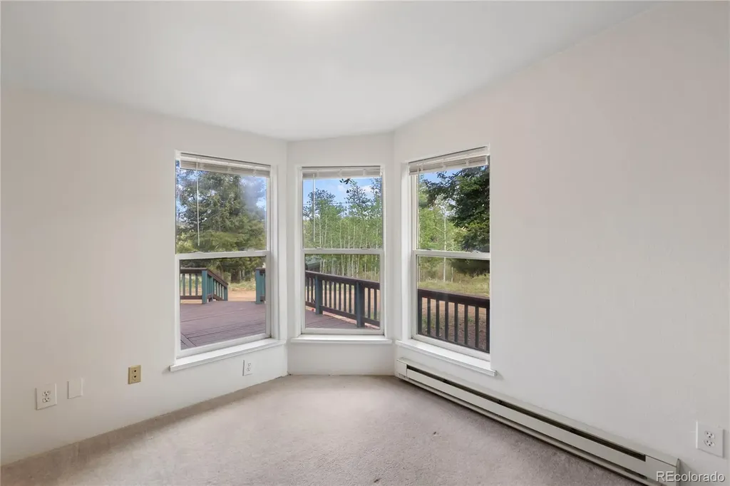 350 Brooks Lane Woodland Park CO 80863