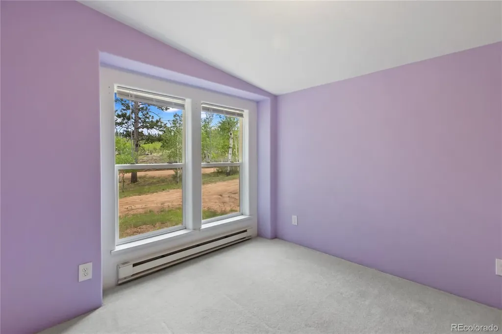 350 Brooks Lane Woodland Park CO 80863