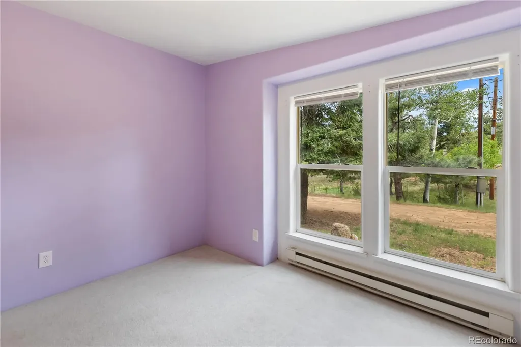 350 Brooks Lane Woodland Park CO 80863