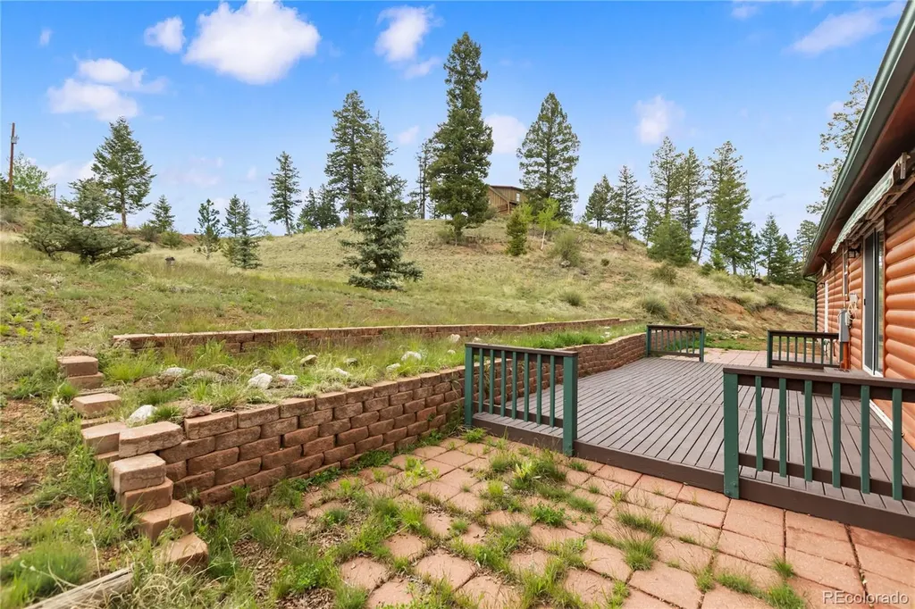350 Brooks Lane Woodland Park CO 80863