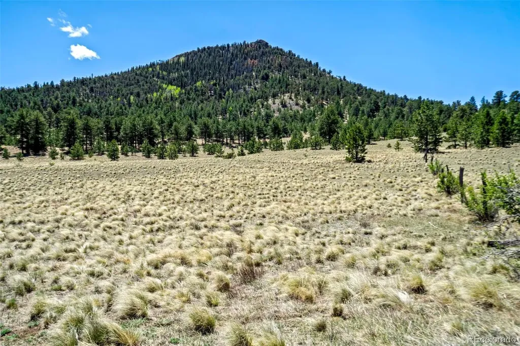 0 Roan Trail Guffey CO 80820