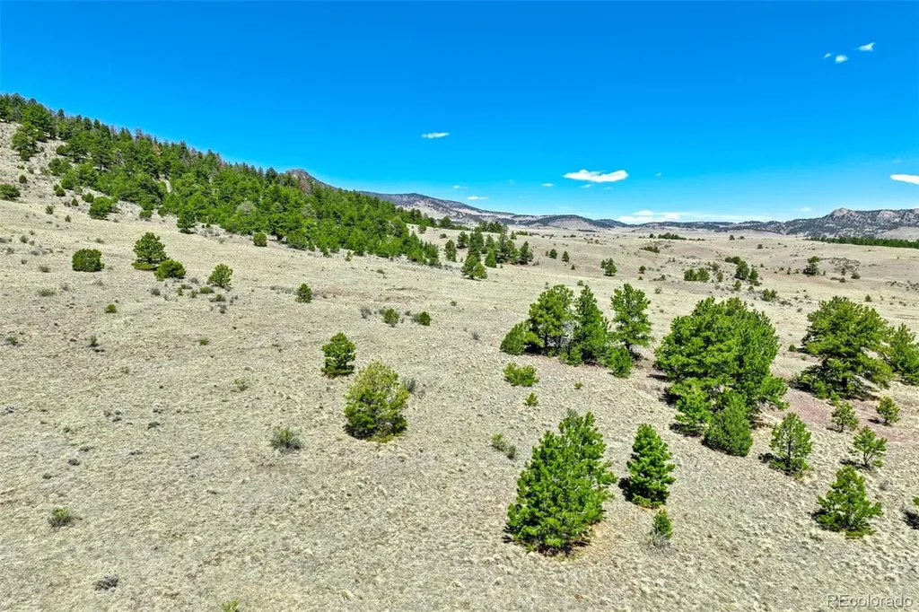 0 Roan Trail Guffey CO 80820