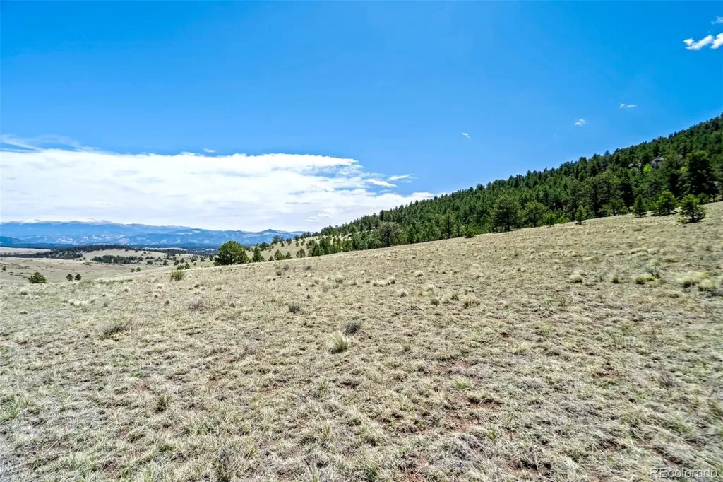 0 Roan Trail Guffey CO 80820