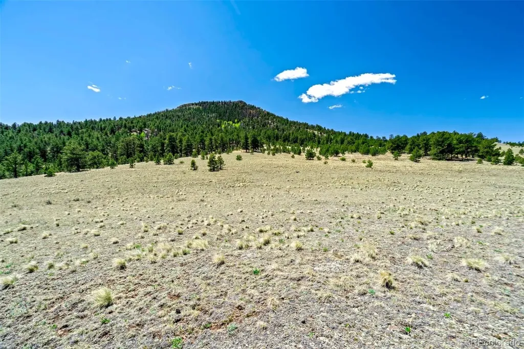 0 Roan Trail Guffey CO 80820