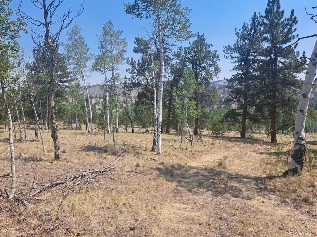 2338 Fitzsimmons Road Hartsel CO 80449