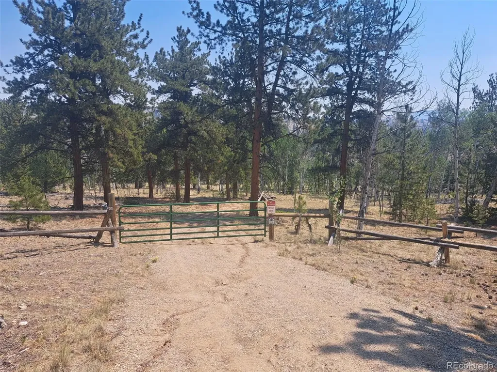 2338 Fitzsimmons Road Hartsel CO 80449
