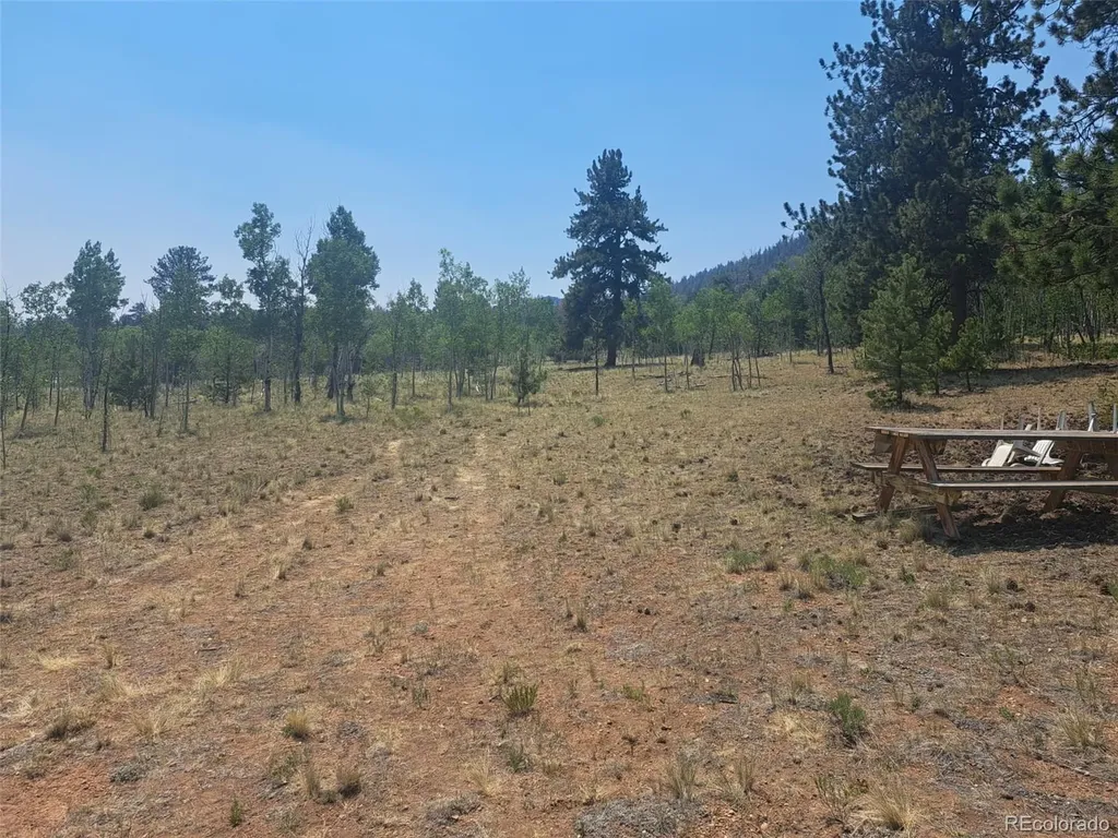 2338 Fitzsimmons Road Hartsel CO 80449