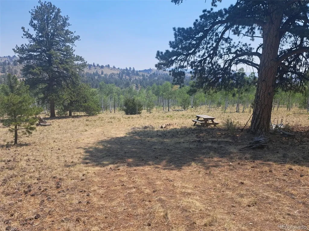 2338 Fitzsimmons Road Hartsel CO 80449