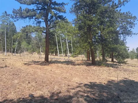 2338 Fitzsimmons Road Hartsel CO 80449