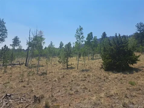 2338 Fitzsimmons Road Hartsel CO 80449