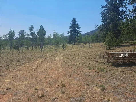 2338 Fitzsimmons Road Hartsel CO 80449