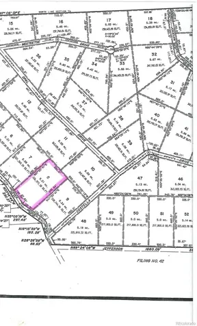 2338 Fitzsimmons Road Hartsel CO 80449