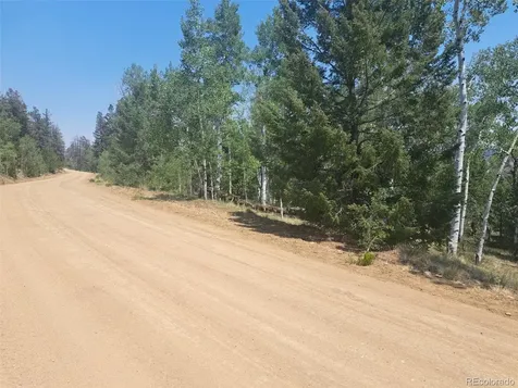 2338 Fitzsimmons Road Hartsel CO 80449
