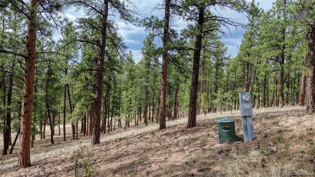 453 Black Fawn Lane Westcliffe CO 81252