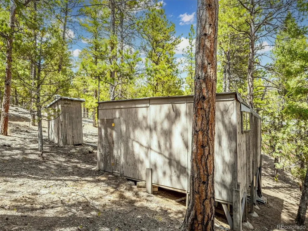 33431 Lake Lane Pine CO 80470