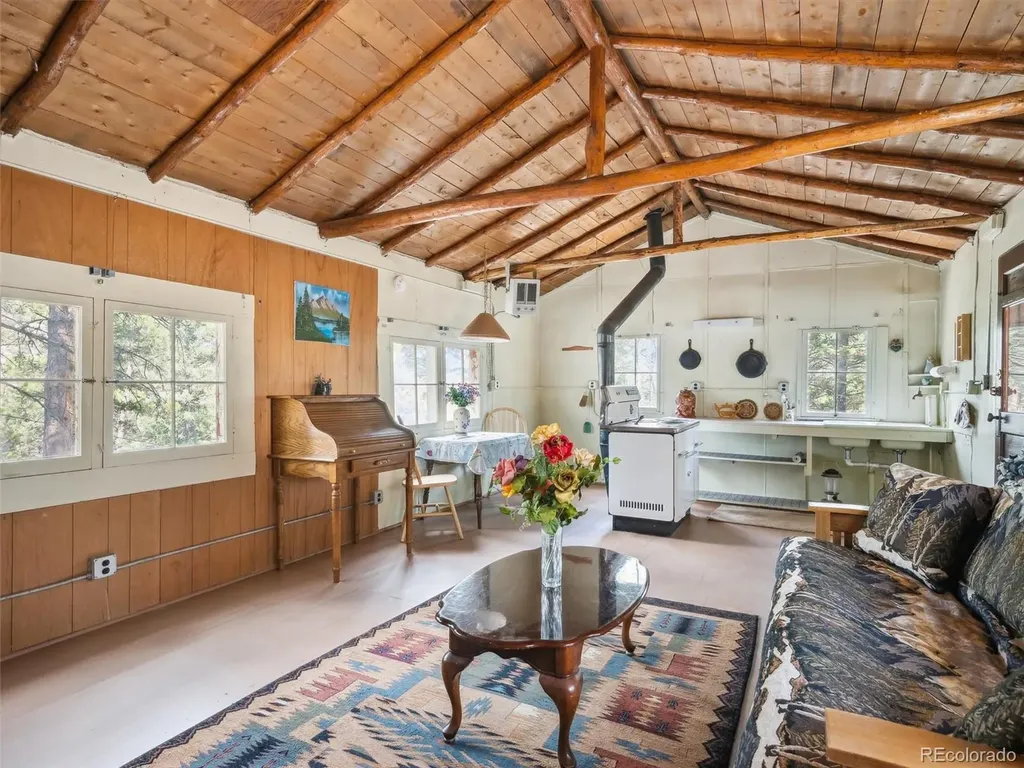 33431 Lake Lane Pine CO 80470