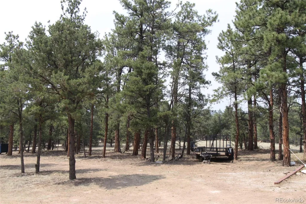 938 18th Trail Cotopaxi CO 81223