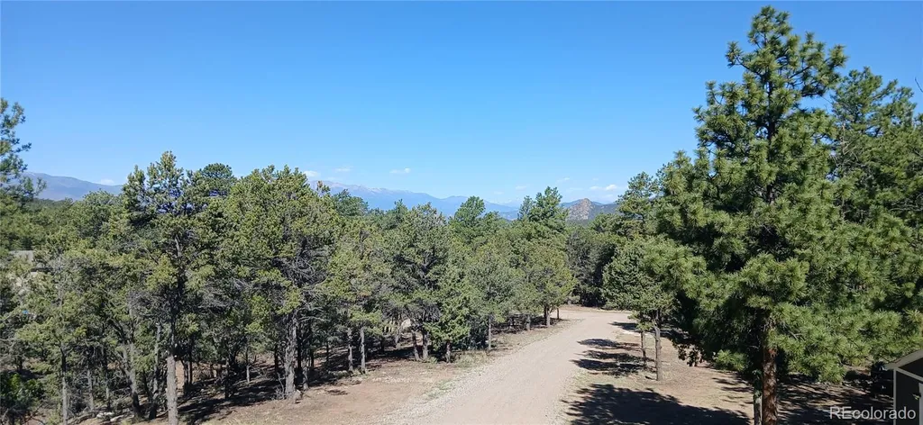 938 18th Trail Cotopaxi CO 81223