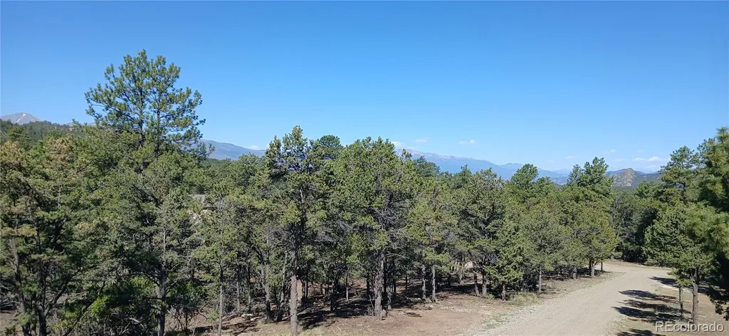 938 18th Trail Cotopaxi CO 81223