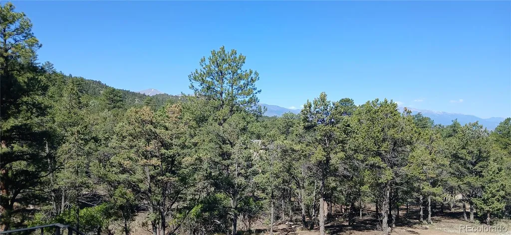 938 18th Trail Cotopaxi CO 81223