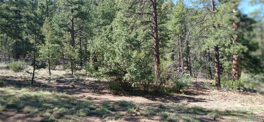938 18th Trail Cotopaxi CO 81223