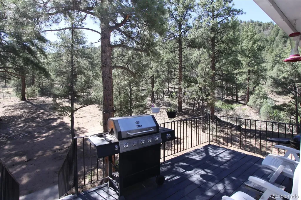 938 18th Trail Cotopaxi CO 81223